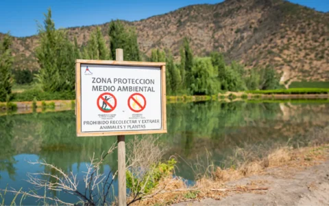 CAMINO A LA SUSTENTABILIDAD